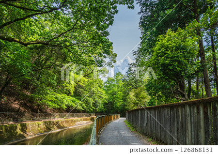 京都市琵琶湖運河沿岸的散步道 126868131
