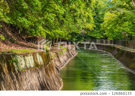 Lake Biwa Canal, Higashiyama Natural Green Space, Kyoto City Lake Biwa Canal, Higashiyama Natural Green Space, Kyoto City 126868135