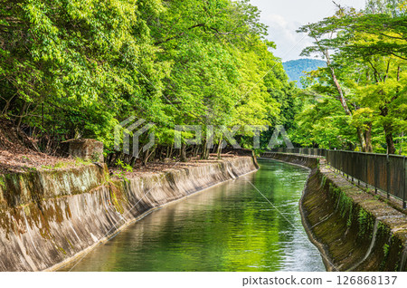 Lake Biwa Canal, Higashiyama Natural Green Space, Kyoto City Lake Biwa Canal, Higashiyama Natural Green Space, Kyoto City 126868137