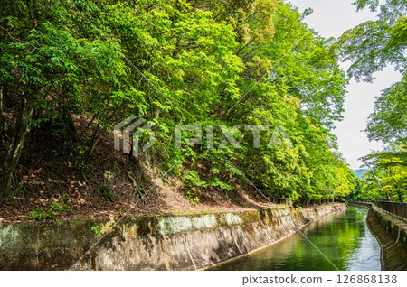 京都市東山自然綠地琵琶湖疏水 京都市東山自然綠地琵琶湖疏水 126868138