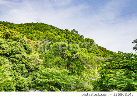 Lake Biwa Canal, Mountains of Fresh Greenery, Kyoto City 126868143