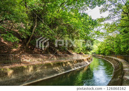 Lake Biwa Canal, Higashiyama Natural Green Space, Kyoto City Lake Biwa Canal, Higashiyama Natural Green Space, Kyoto City 126868162