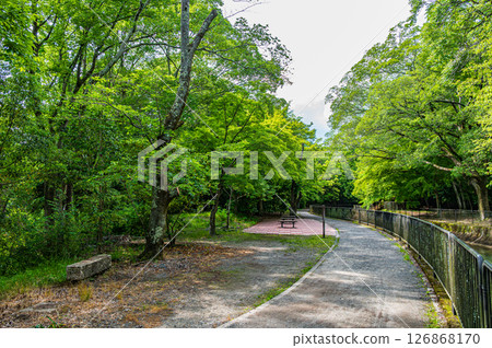 琵琶湖疏水道 京都市 126868170