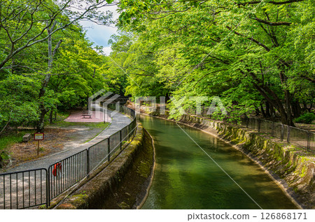 Lake Biwa Canal Kyoto City 126868171