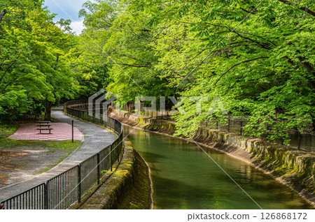 Lake Biwa Canal Kyoto City 126868172
