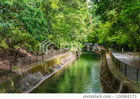 Lake Biwa Canal, Higashiyama Natural Green Space, Kyoto City Lake Biwa Canal, Higashiyama Natural Green Space, Kyoto City 126868173