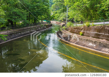Lake Biwa Canal, Scenery near the exit of the Moroha Tunnel, Grey Heron, Kyoto City 126868180