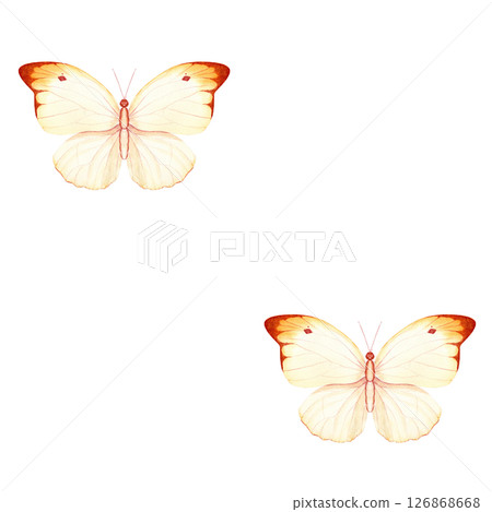 Butterfly, yellowish dark tipped wings, hand-painted watercolor seamless pattern isolated on white. Ideal for wedding invitations, spring stationery, logo design, packaging feminine branding projects 126868668