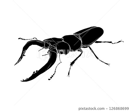 Realistic black and white illustration of a stag beetle (with white border) 126868699