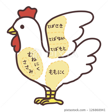 Illustration of chicken parts Illustration of chicken parts 126868941