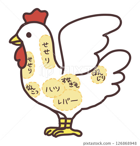 鳥內臟器官圖解 鳥內臟器官圖解 126868948