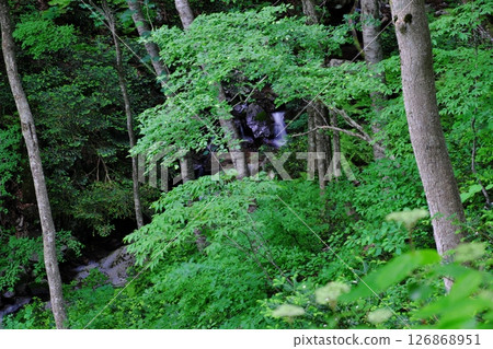 阿滿木山登山森林（飯石郡飯南町） 126868951