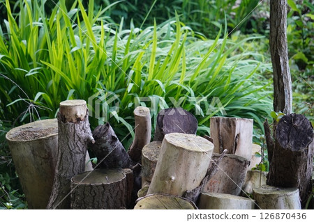 各種尺寸的原木 各種尺寸的原木 126870436