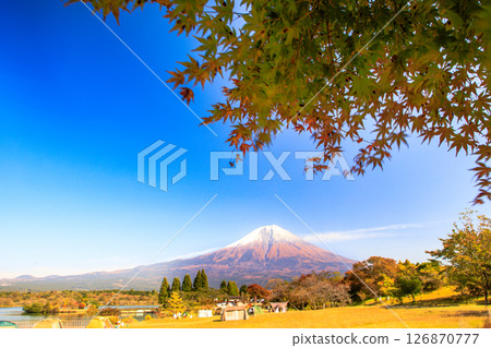 秋季露營地圖片:從狸湖眺望富士山 秋葉點綴的露營地 秋季露營地圖片:從狸湖眺望富士山 秋葉點綴的露營地 126870777