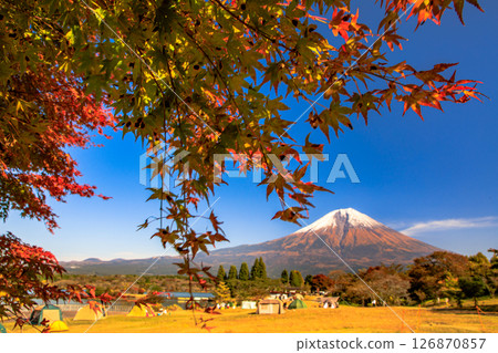 Image of a campsite in autumn: Mt. Fuji seen from Tanuki Lake Campsite with autumn leaves 126870857
