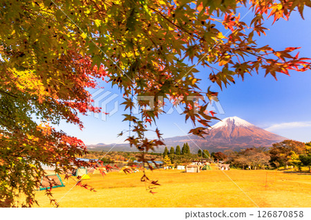 Image of a campsite in autumn: Mt. Fuji seen from Tanuki Lake Campsite with autumn leaves 126870858