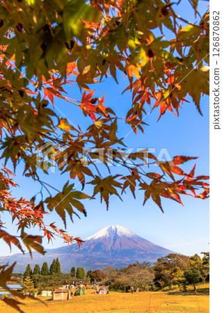 Image of a campsite in autumn: Mt. Fuji seen from Tanuki Lake Campsite with autumn leaves 126870862