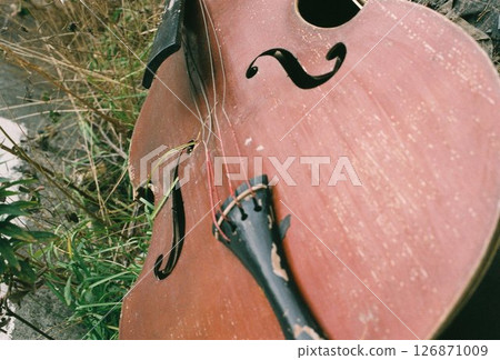 Abandoned Cello 126871009