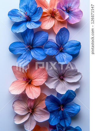 Beautiful Display of Colorful Flowers Arranged in a Serene and Peaceful Pattern 126871547