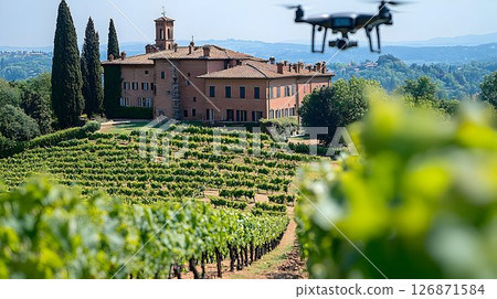 Drone flies over Tuscan vineyard estate with cypress trees and t 126871584
