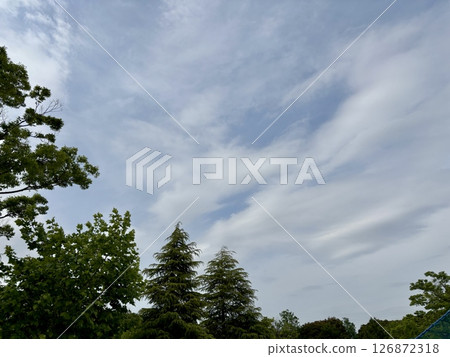 Blue sky, white clouds, lush trees 126872318