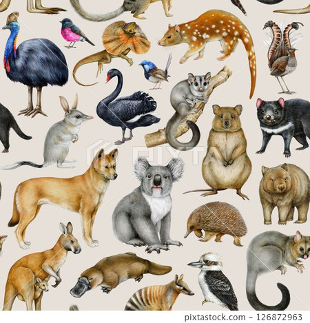 Australian fauna seamless pattern design element. Hand drawn vintage style koala, kangaroo, dingo, wombat, sugar glider, platypus, kookaburra on sandy ground. Australia birds and animals pattern Australian fauna seamless pattern design element. Hand drawn vintage style koala, kangaroo, dingo, wombat, sugar glider, platypus, kookaburra on sandy ground. Australia birds and animals pattern 126872963