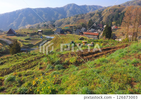 上瀨屋梯田與鄉村（櫻花新綠時節）/ 上瀨屋高原 / 京都府宮津市 / 日本村莊百選 126873003