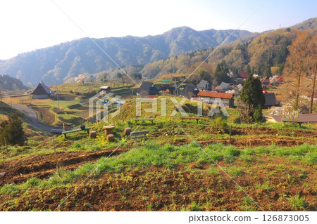 Kamiseya rice terraces and rural village (cherry blossom and fresh green season) / Kamiseya Plateau / Miyazu City, Kyoto Prefecture / Top 100 Japanese Villages 126873005