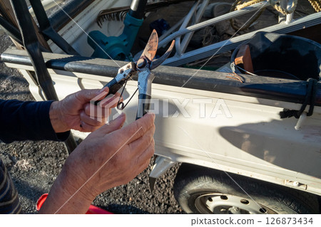 Pruning shears and sharpening agent Pruning shears and sharpening agent 126873434