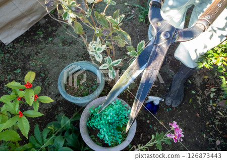Sap stains on gardener's shears 126873443