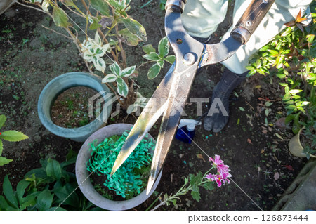 Sap stains on gardener's pruning shears 126873444