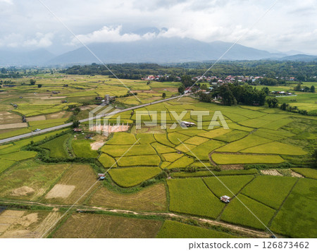 Aerial view of rice paddy field in Pua district a significant maize-growing area in Nan province of Thailand. 126873462