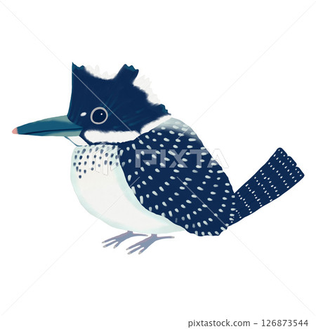 Illustration of a kingfisher drawn with an oil brush Wild bird Clip art Illustration PNG 126873544