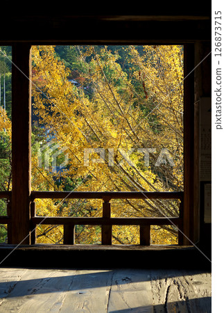 秋葉與神社風景 126873715