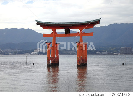 站在海面上的大鳥居 126873730