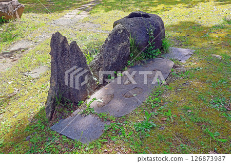 五知國分寺（上越） 126873987