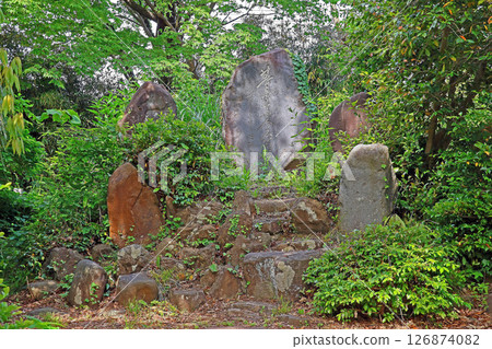 五知國分寺(上越) 五知國分寺(上越) 126874082