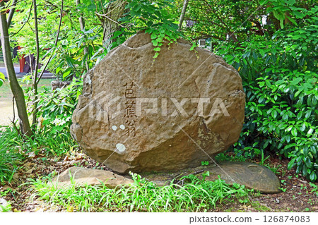 五知國分寺(上越) 五知國分寺(上越) 126874083