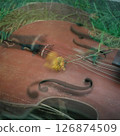 A violin in a corner of the garden 126874509