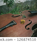 A violin in a corner of the garden 126874510