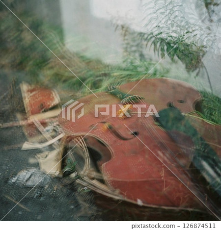 A violin in a corner of the garden 126874511