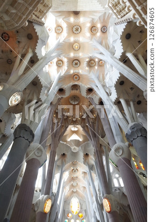 Sagrada Familia Sagrada Familia 126874605