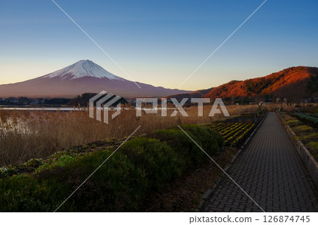 Autumn Colors and Mount Fuji from Oishi Park Pathway 126874745