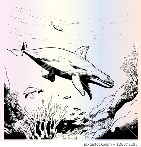 Whale Coloring Pages for Kids 126875183