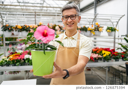 A Caucasian man in a florist shop offers a blooming flower pot with a smile, surrounded by plants. A Caucasian man in a florist shop offers a blooming flower pot with a smile, surrounded by plants. 126875394