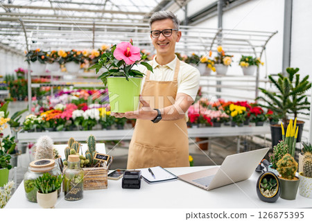 A Caucasian florist in an apron smiling and offering a potted hibiscus flower in a shop with many other plants in the background. 126875395
