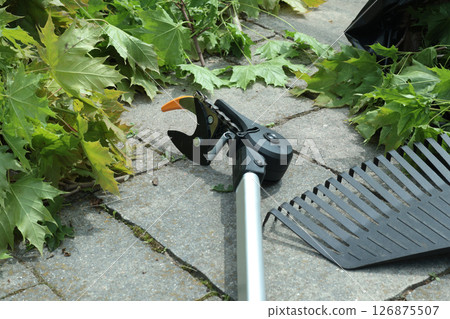 Branch cutter and garden rake on tile driveway in backyard. Gardening, tools and lifestyle. Landscaping. Branch cutter and garden rake on tile driveway in backyard. Gardening, tools and lifestyle. Landscaping. 126875507