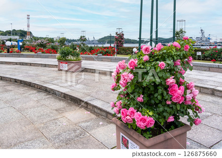 維爾尼公園的美麗風景 維爾尼公園的美麗風景 126875660
