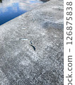 Freshly caught small fish jumping on the shore 126875838