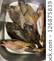 A sink filled with freshly caught fish 126875839